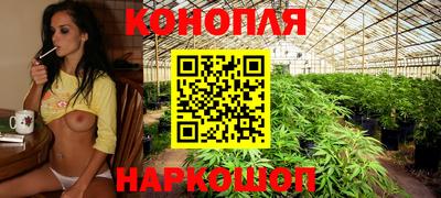 гашик Лесосибирск