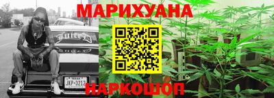 гашик Лесосибирск