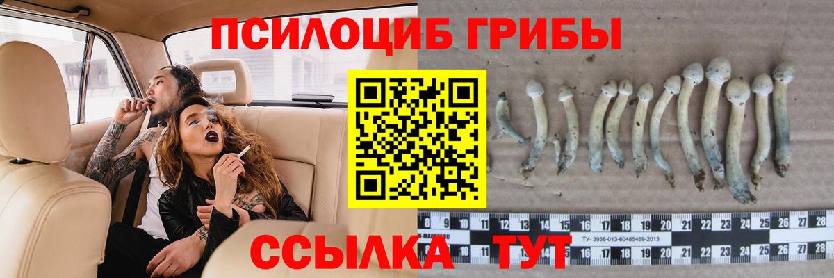 Псилоцибиновые грибы ЛСД Всеволожск